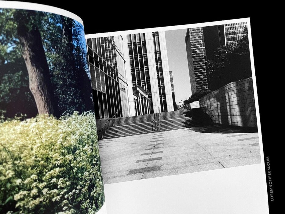 Primary Paper Issue 4 (Human) – loremnotipsum.com