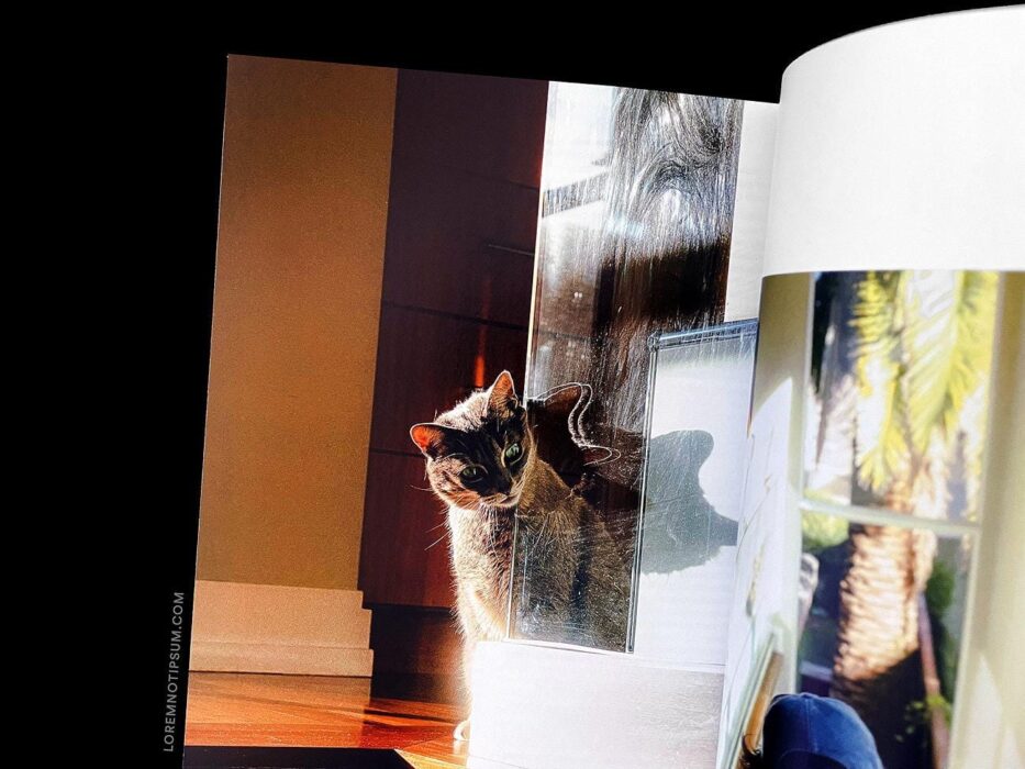 Record Culture Magazine Issue 9 – loremnotipsum.com