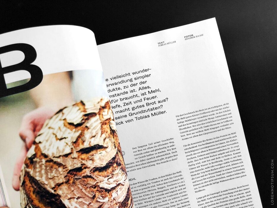 Schluck Magazin Nr. 6 – loremnotipsum.com