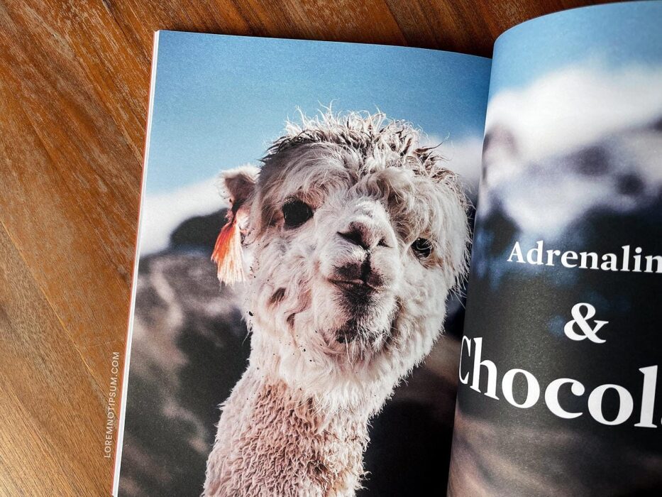 Sidetracked Magazine Volume 20 – loremnotipsum.com