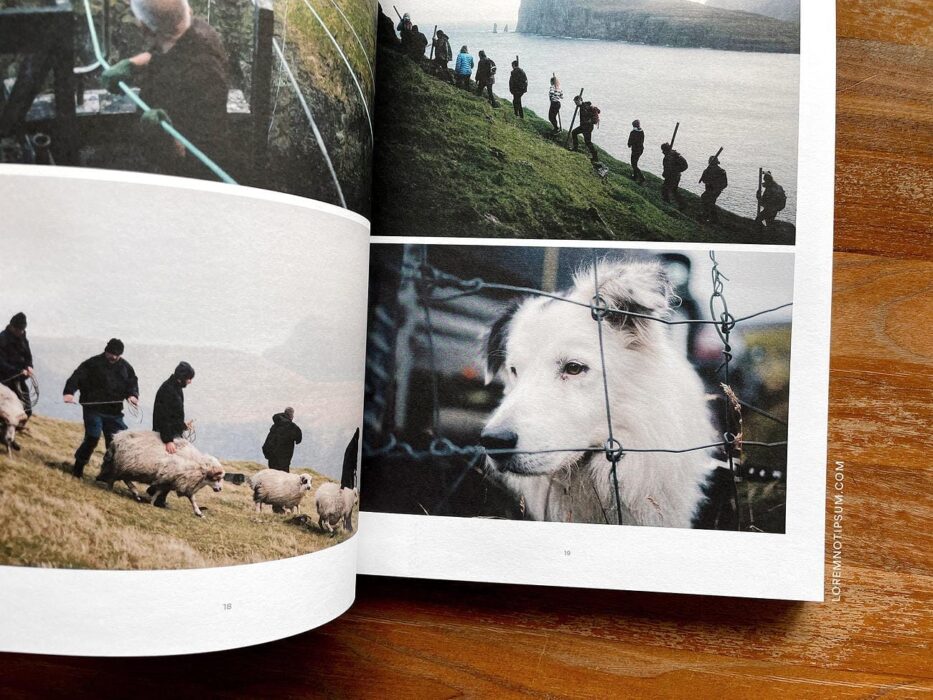 Sidetracked Magazine Volume 20 – loremnotipsum.com