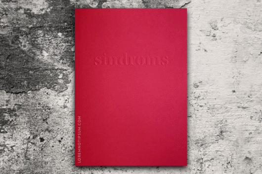 Sindroms Magazine Issue 1 (Red) – loremnotipsum.com