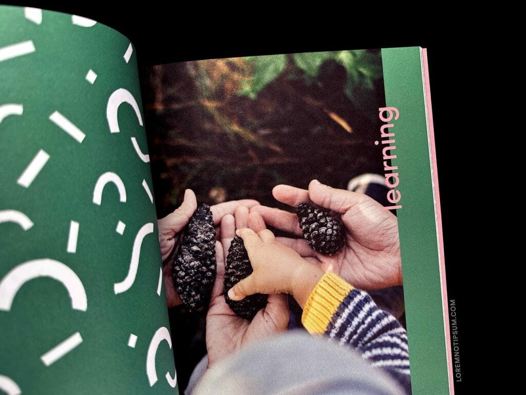 Sonshine Magazine Issue 17 – loremnotipsum.com