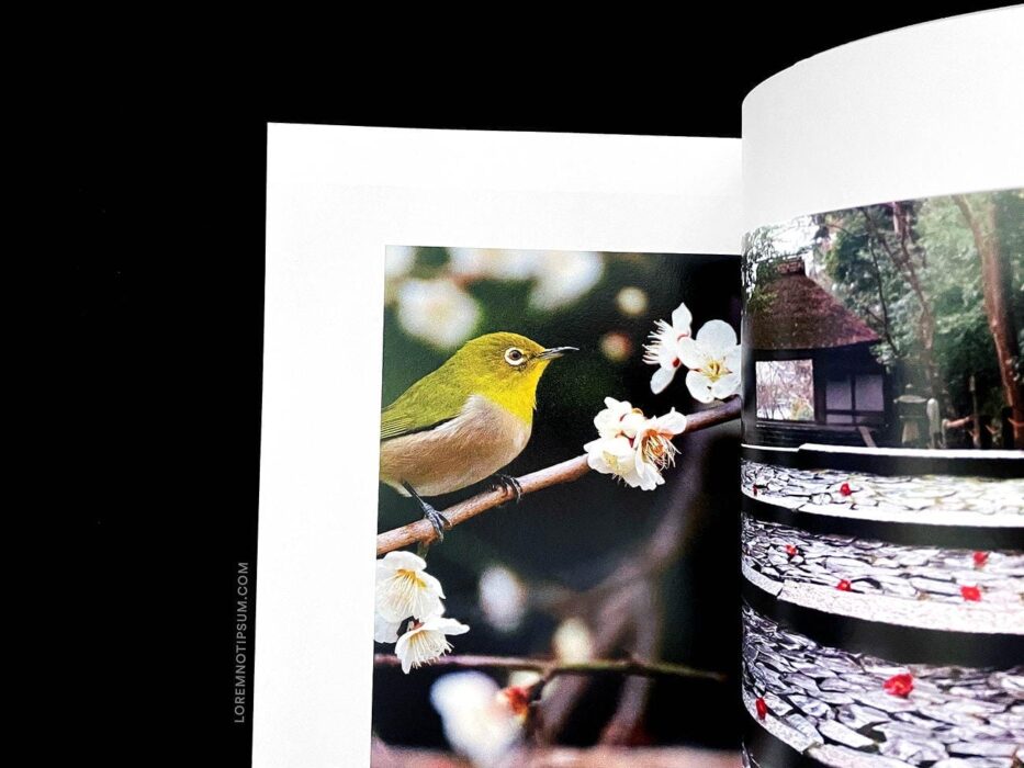 Storied Magazine Volume 1 – loremnotipsum.com