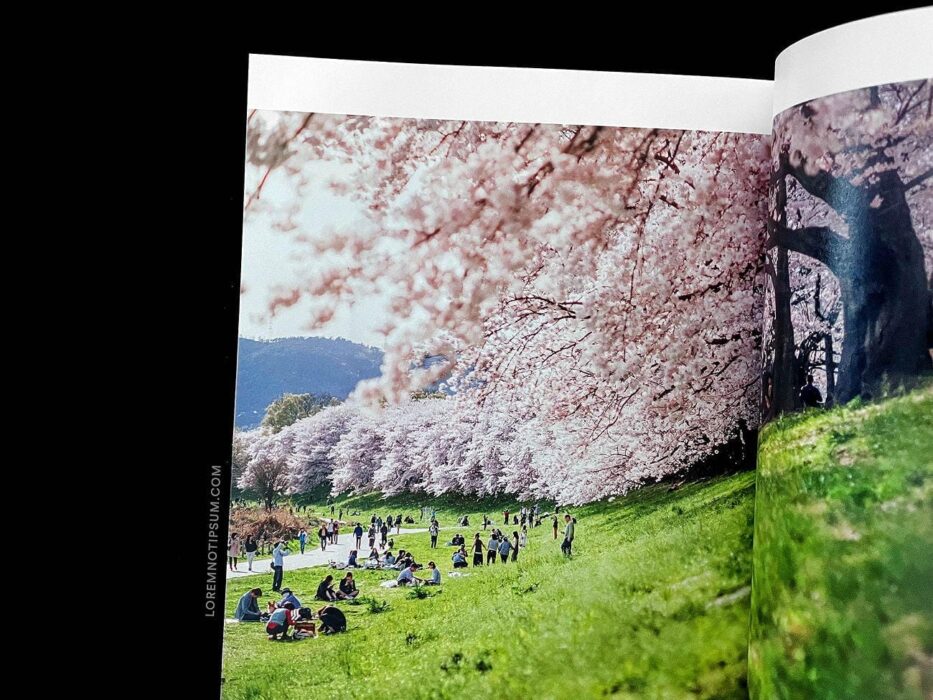 Storied Magazine Volume 1 – loremnotipsum.com