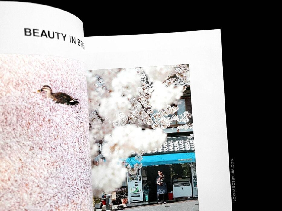 Storied Magazine Volume 1 – loremnotipsum.com