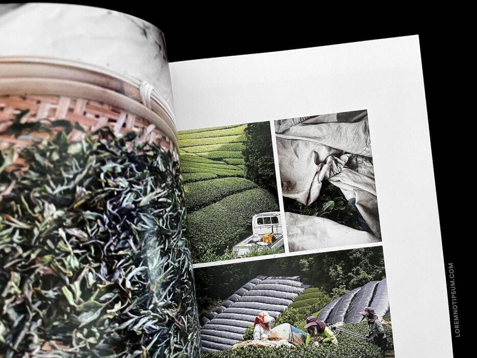 Storied Magazine Volume 1 – loremnotipsum.com