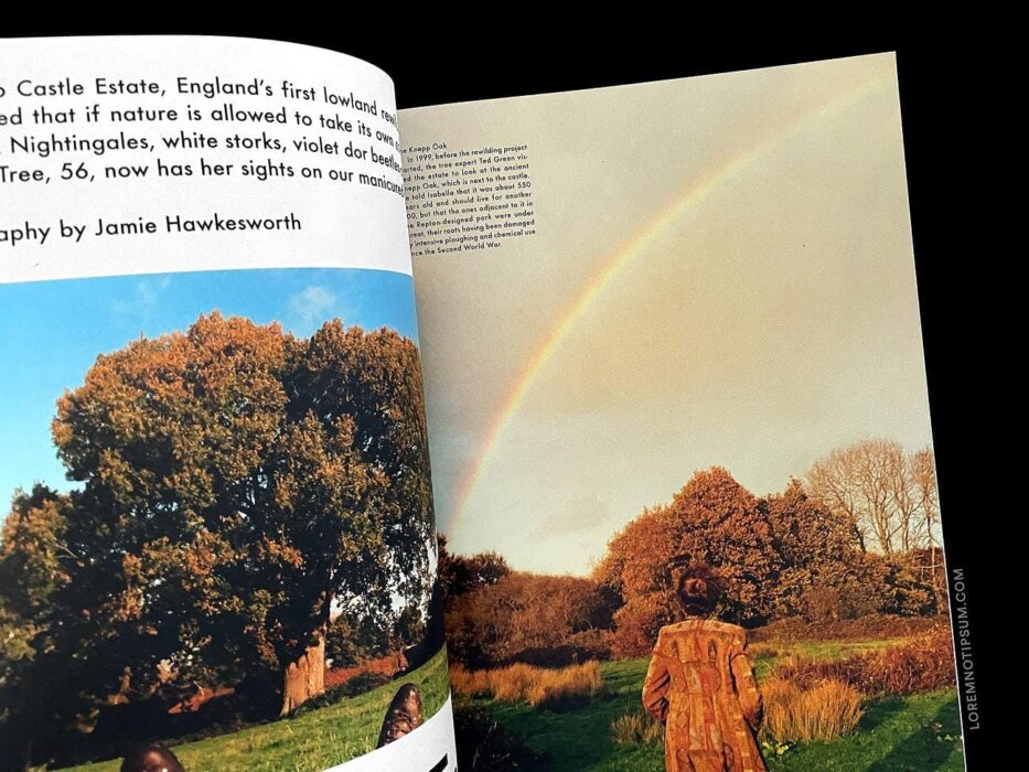 The Gentlewoman Magazine No. 23 (Scarlett Johansson) – loremnotipsum.com