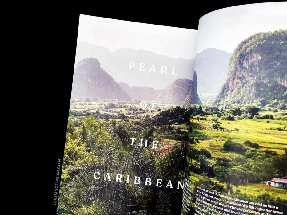 The Jungle Journal Volume 1 – loremnotipsum.com