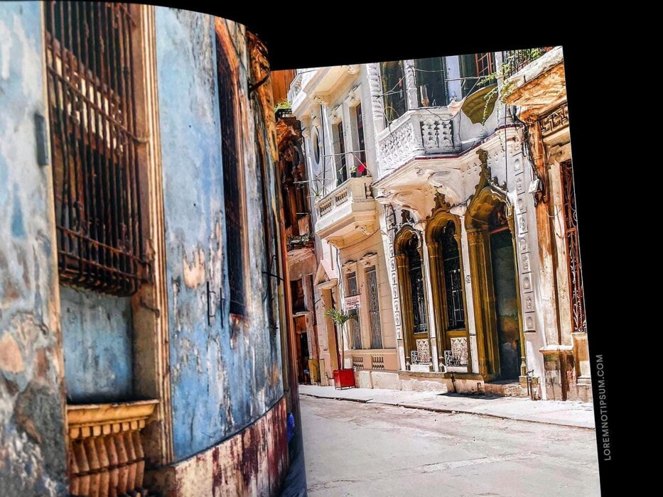 The Jungle Journal Volume 1 – loremnotipsum.com