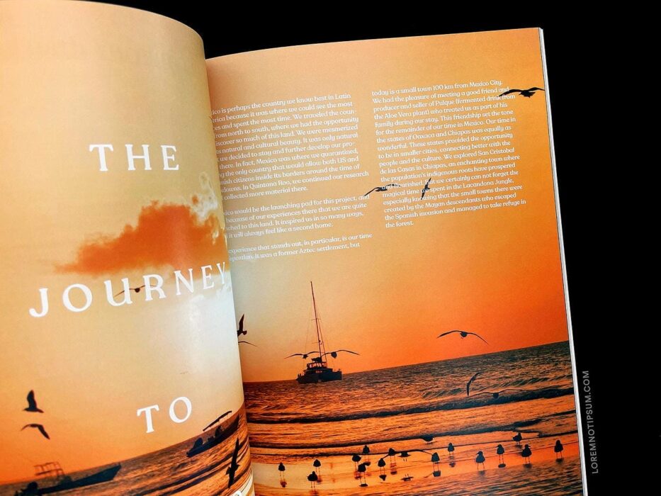 The Jungle Journal Volume 1 – loremnotipsum.com