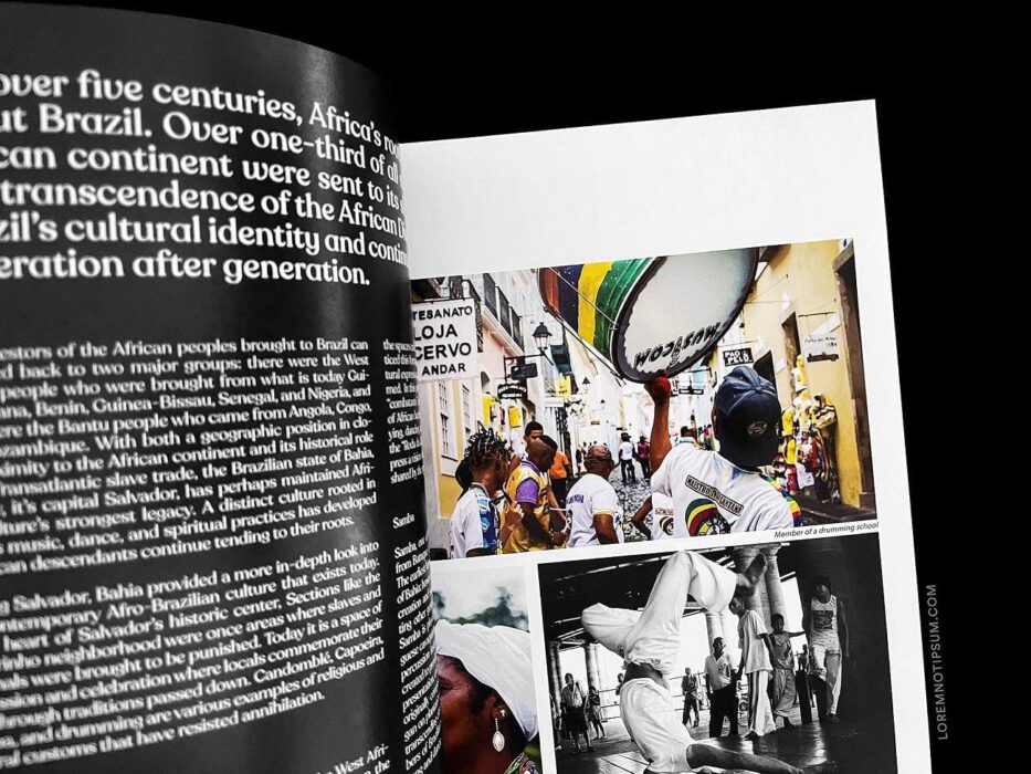The Jungle Journal Volume 1 – loremnotipsum.com