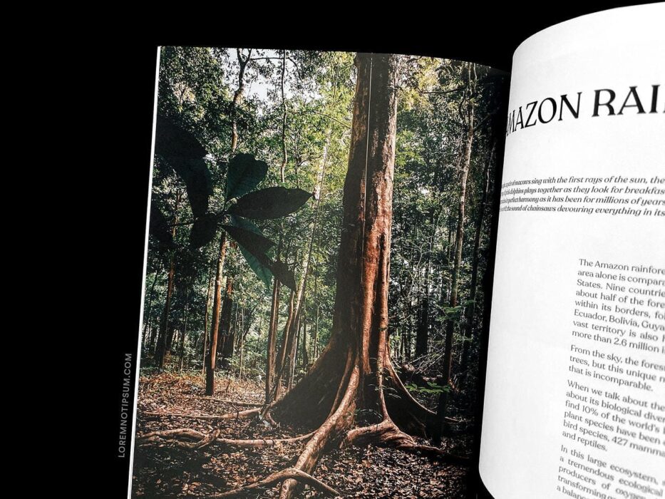 The Jungle Journal Volume 1 – loremnotipsum.com