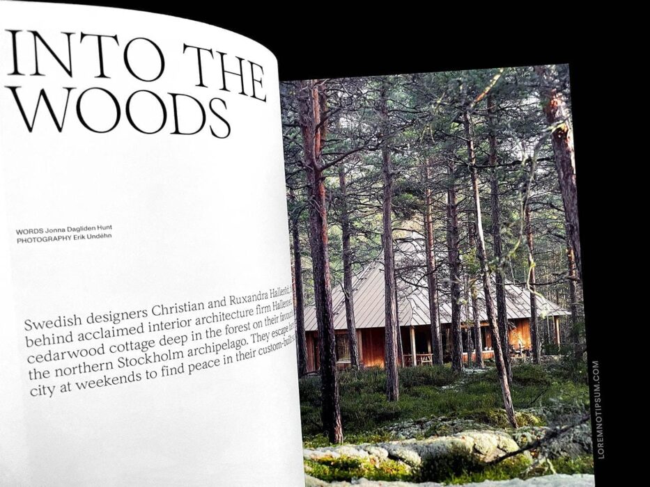 The New Era Magazine Issue 2 – loremnotipsum.com