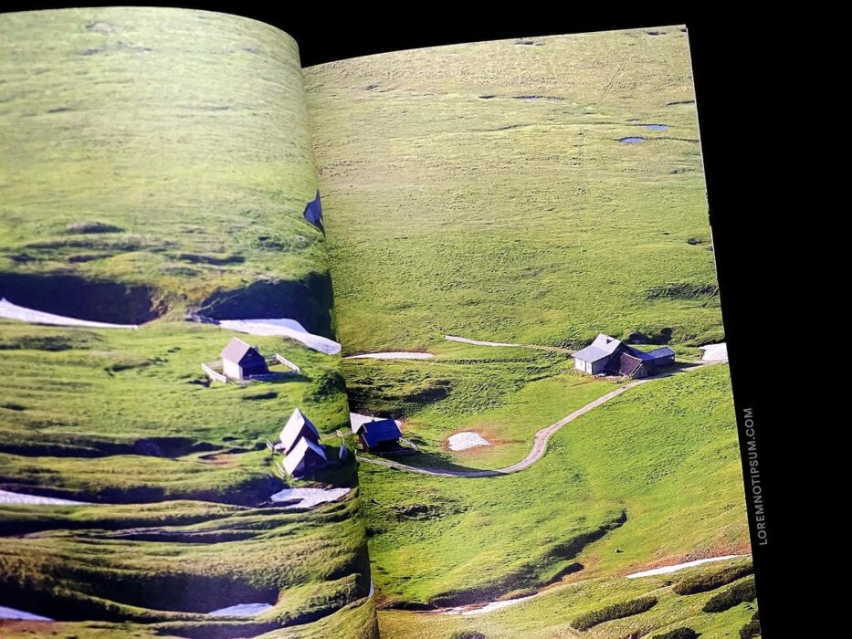 The Preserve Journal Issue 4 – loremnotipsum.com