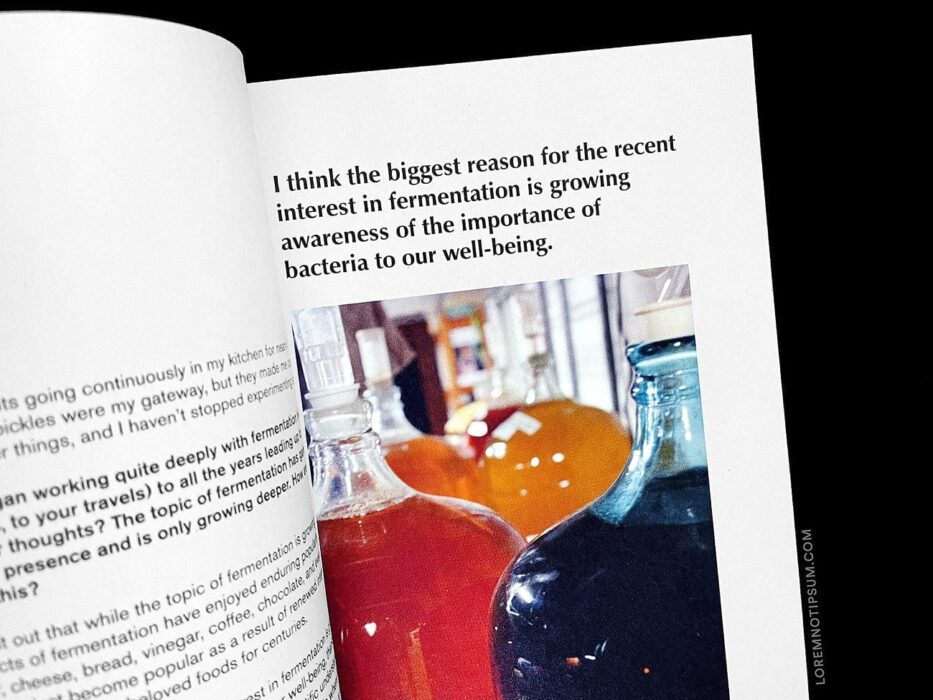 The Preserve Journal Issue 4 – loremnotipsum.com