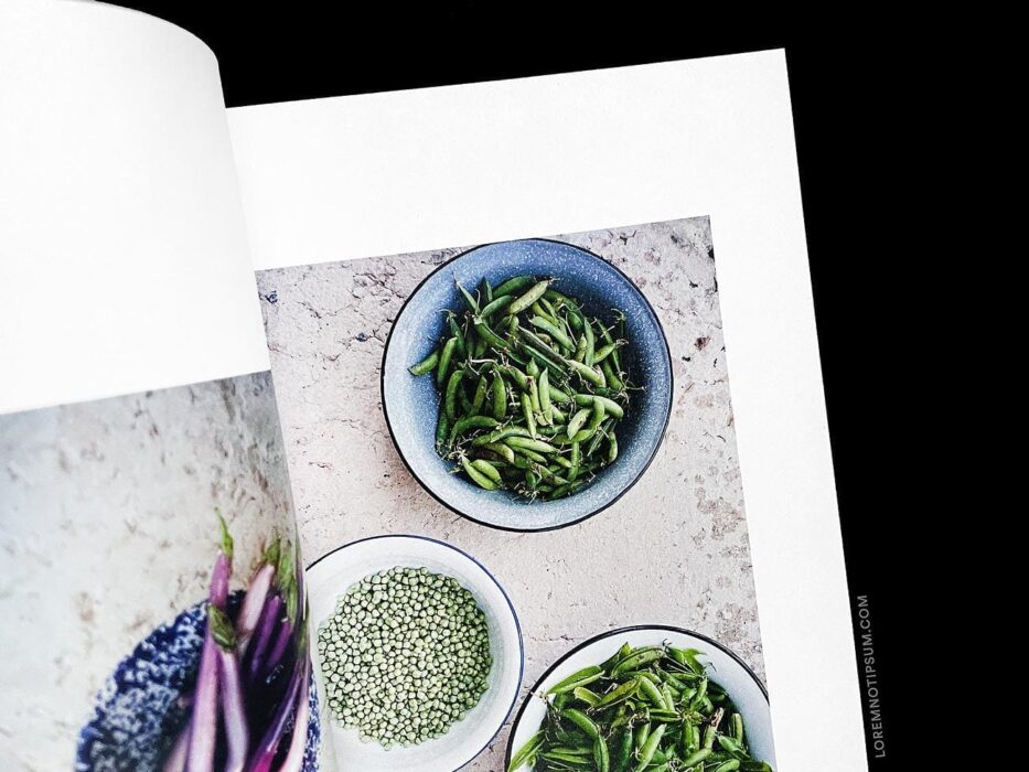 The Preserve Journal Issue 4 – loremnotipsum.com