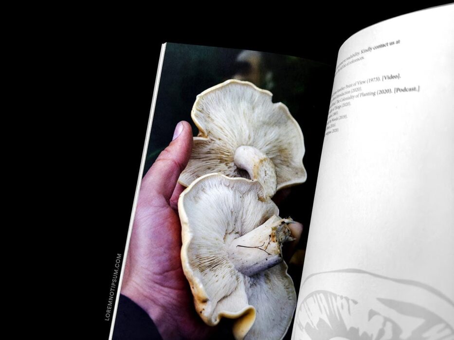 The Preserve Journal Issue 7 – loremnotipsum.com