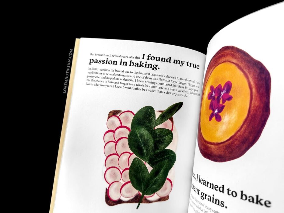 The Preserve Journal Issue 7 – loremnotipsum.com