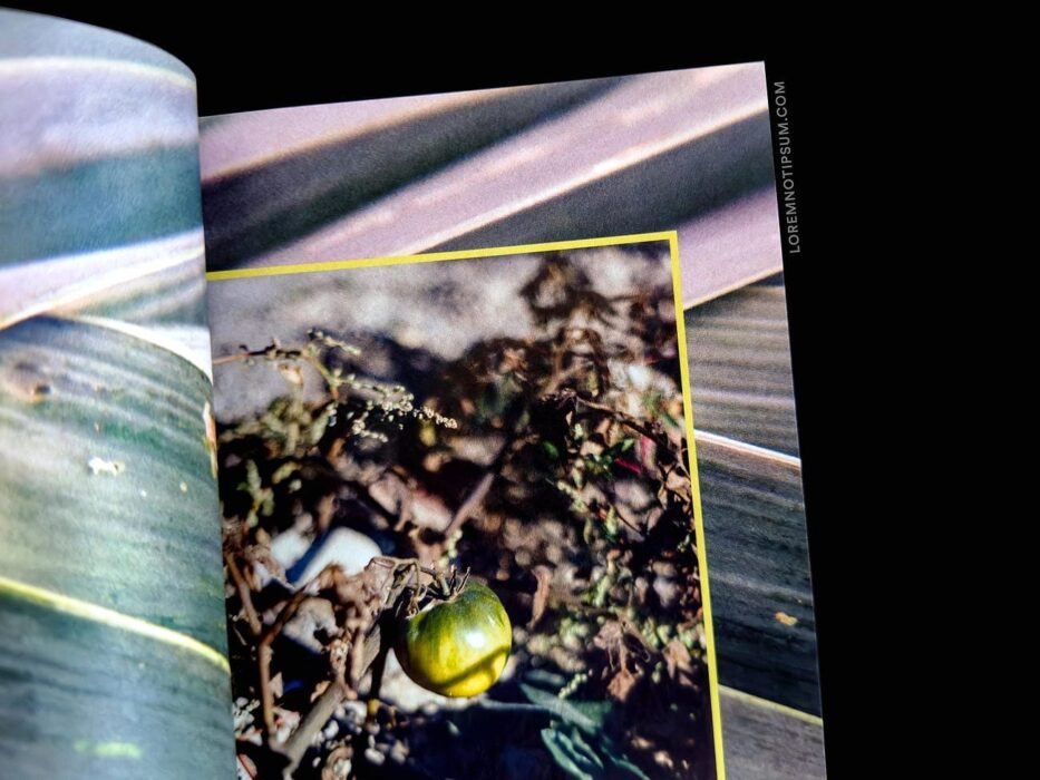 The Preserve Journal Issue 7 – loremnotipsum.com