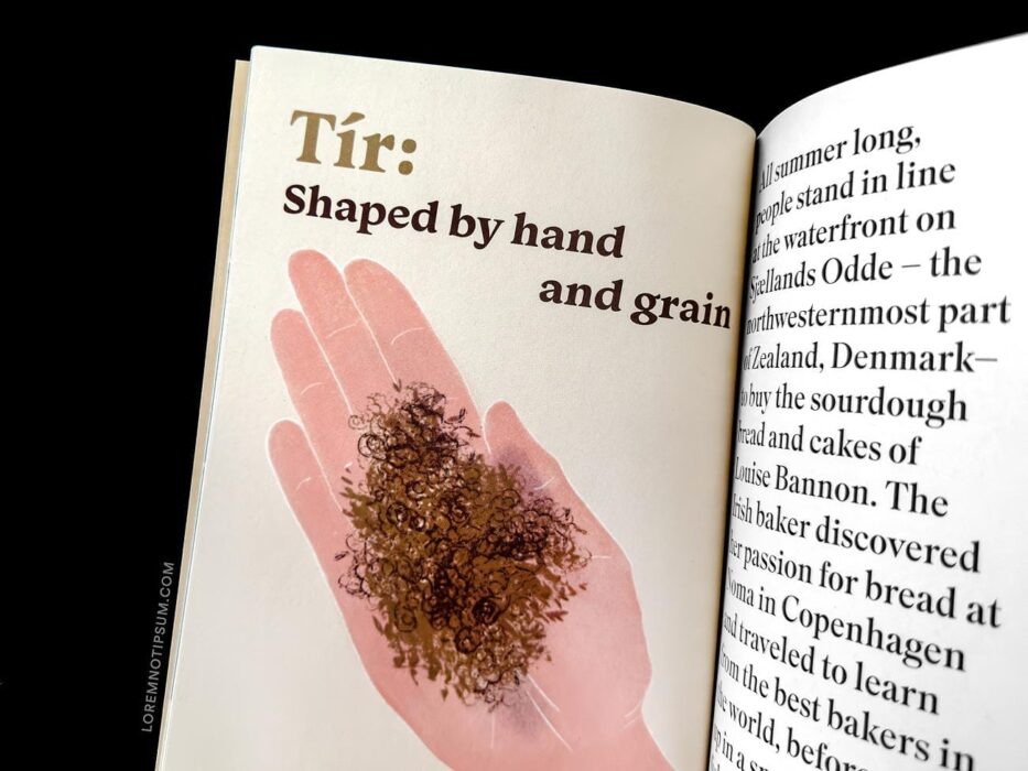 The Preserve Journal Issue 7 – loremnotipsum.com