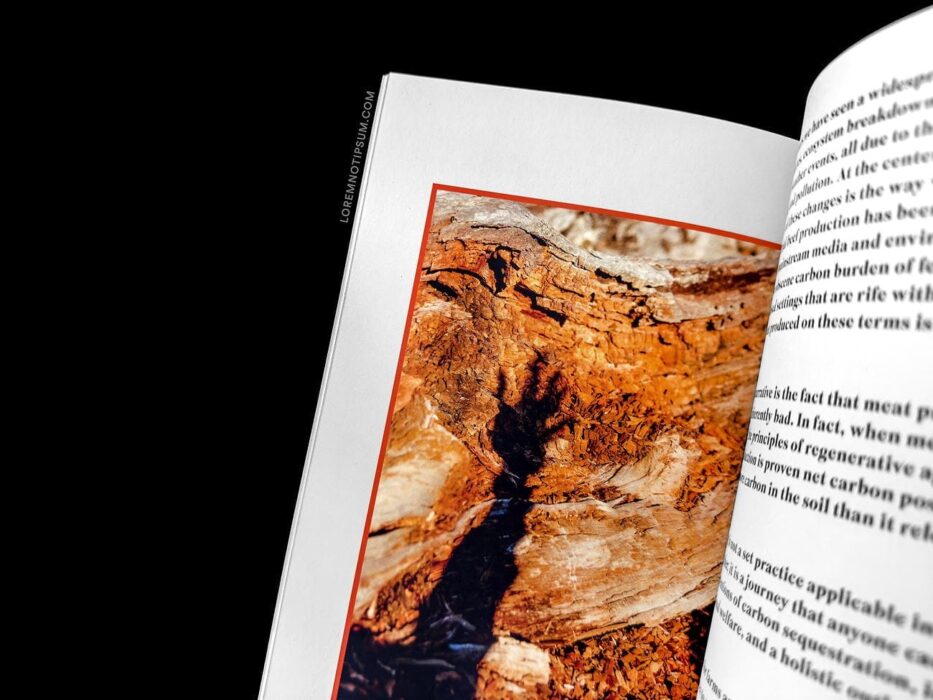 The Preserve Journal Issue 7 – loremnotipsum.com