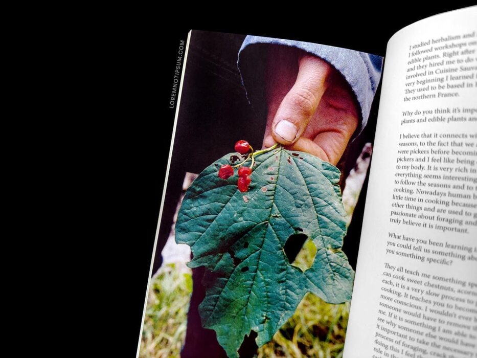 The Preserve Journal Issue 7 – loremnotipsum.com