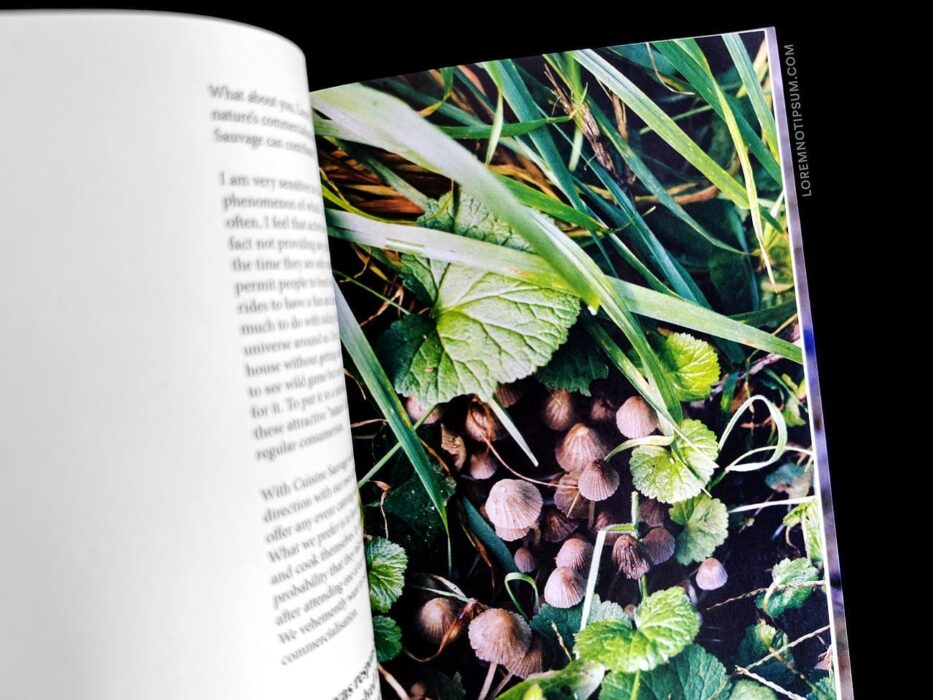 The Preserve Journal Issue 7 – loremnotipsum.com