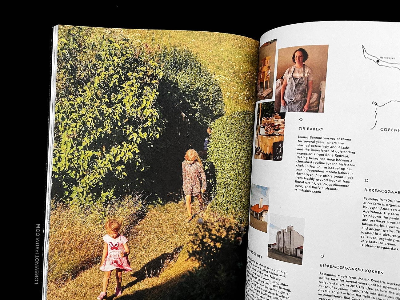 The Weekender Magazin Issue 36 (English) – loremnotipsum.com