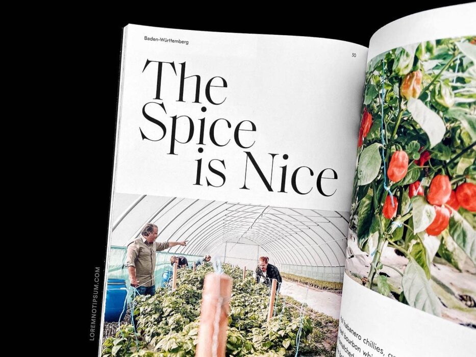 The Weekender Magazin Issue 36 (English) – loremnotipsum.com
