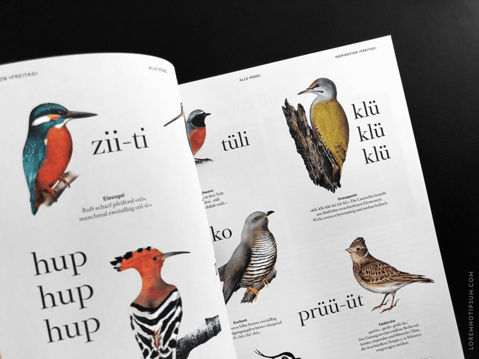 Transhelvetica Nr. 46 (Freitag) – loremnotipsum.com
