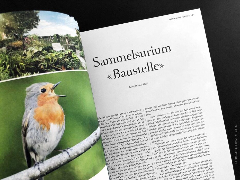 Transhelvetica Nr. 47 – loremnotipsum.com
