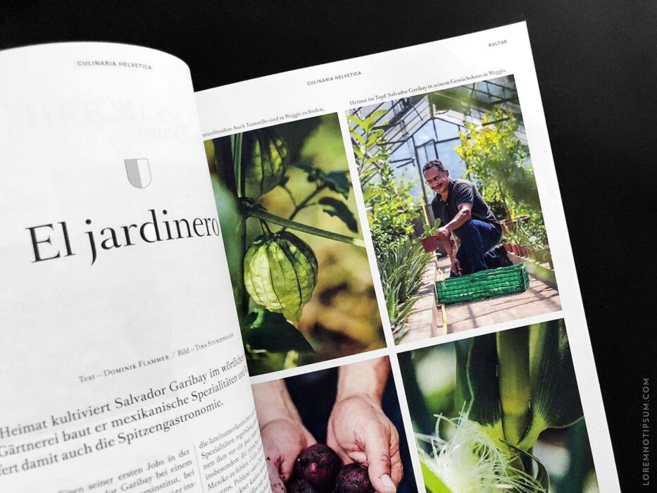 Transhelvetica Magazin Nr. 48 (Mexico) – loremnotipsum.com