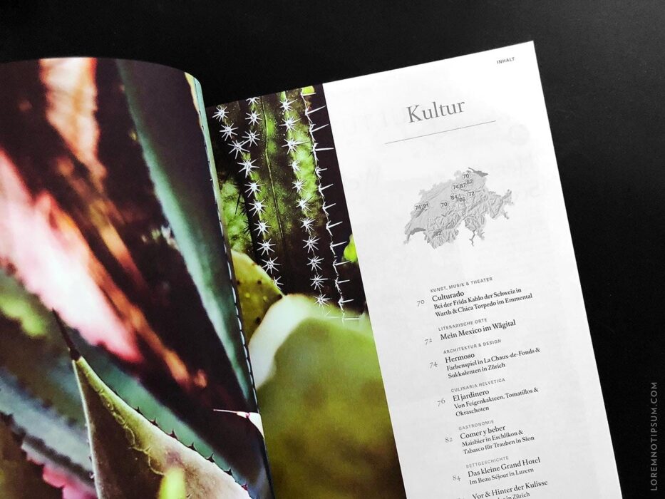 Transhelvetica Magazin Nr. 48 (Mexico) – loremnotipsum.com
