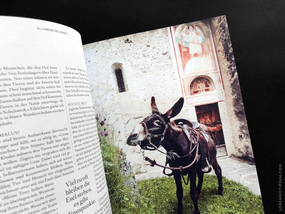 Transhelvetica Magazin Nr. 48 (Mexico) – loremnotipsum.com