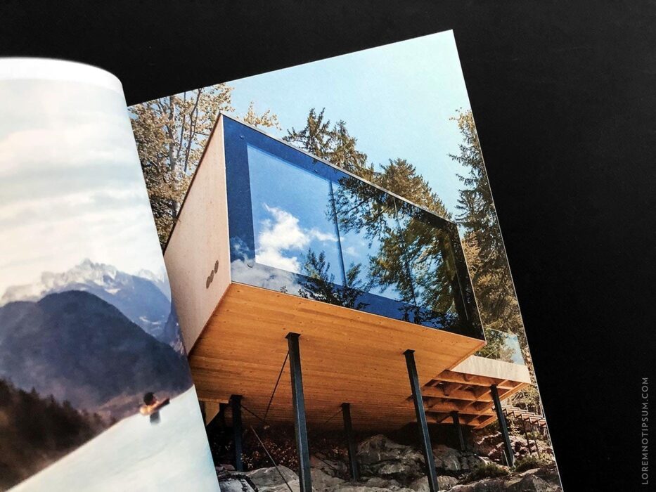 Transhelvetica Magazin Nr. 49 (Hund) – loremnotipsum.com