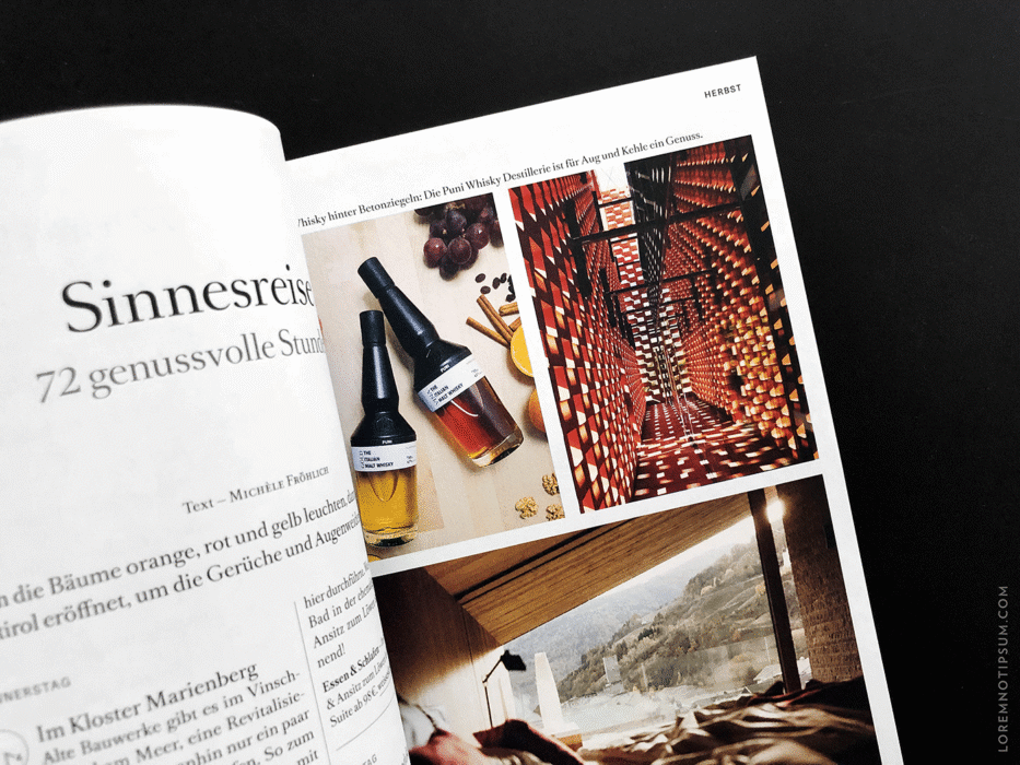 Transhelvetica Magazin Nr. 49 (Hund) – loremnotipsum.com