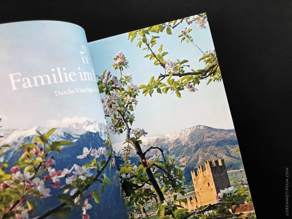 Transhelvetica Magazin Nr. 49 (Hund) – loremnotipsum.com