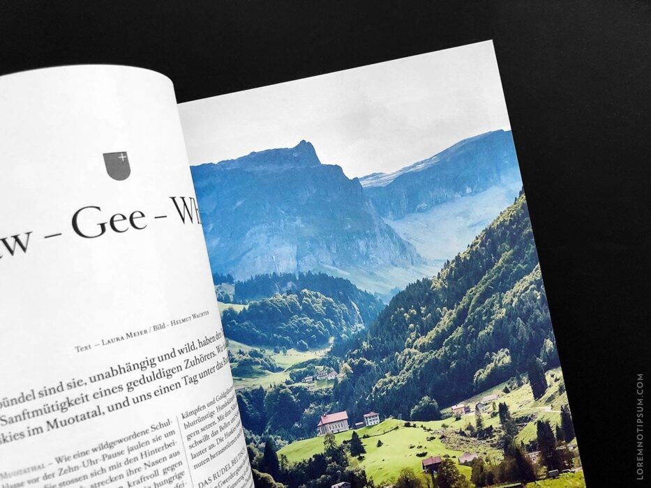 Transhelvetica Magazin Nr. 49 (Hund) – loremnotipsum.com