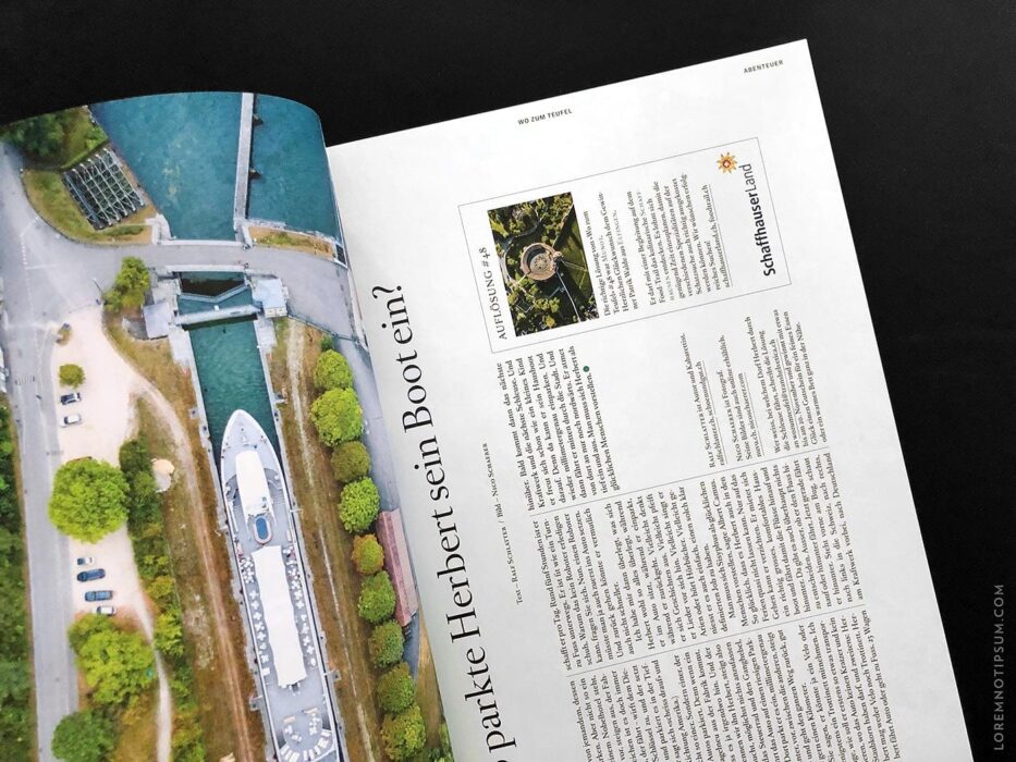 Transhelvetica Magazin Nr. 49 (Hund) – loremnotipsum.com