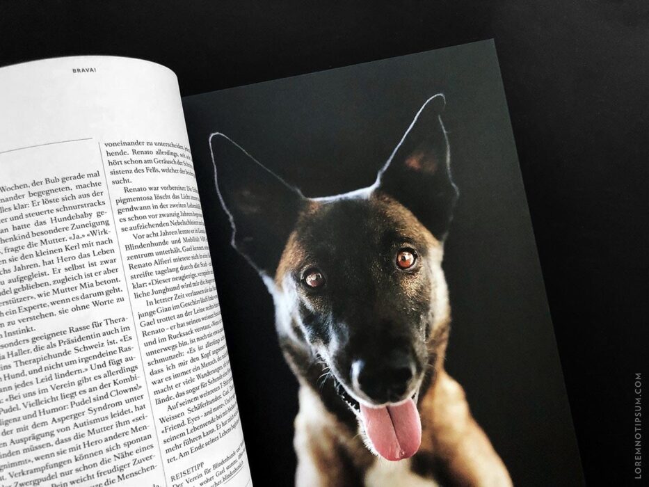 Transhelvetica Magazin Nr. 49 (Hund) – loremnotipsum.com