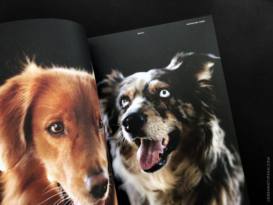 Transhelvetica Magazin Nr. 49 (Hund) – loremnotipsum.com