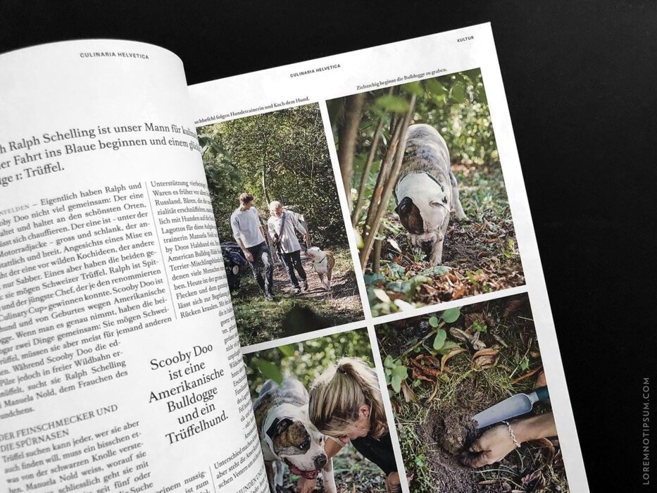 Transhelvetica Magazin Nr. 49 (Hund) – loremnotipsum.com