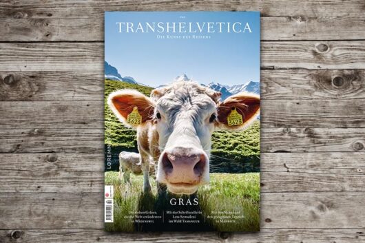 Transhelvetica 42 – Gras