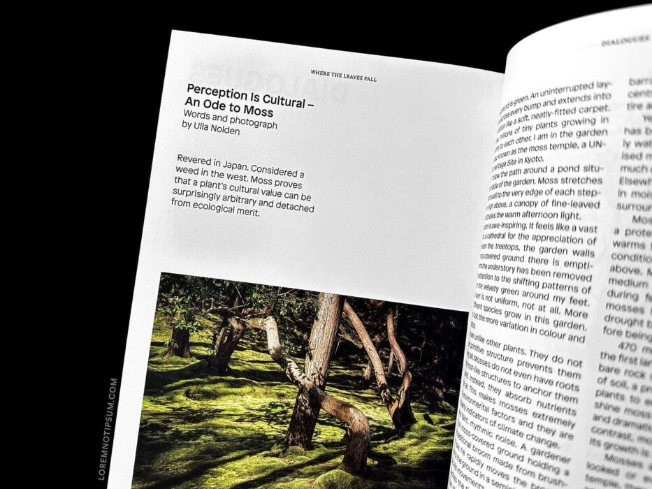 Where The Leaves Fall Magazine Issue 11 – loremnotipsum.com