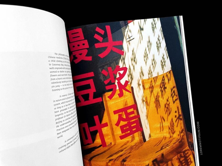 Whitelies Magazine Issue 9 – loremnotipsum.com