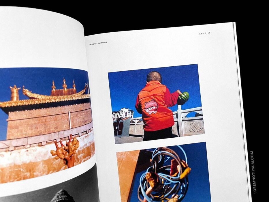 Whitelies Magazine Issue 9 – loremnotipsum.com