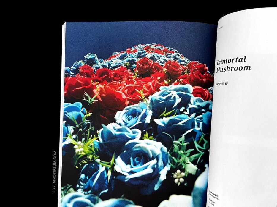 Whitelies Magazine Issue 9 – loremnotipsum.com