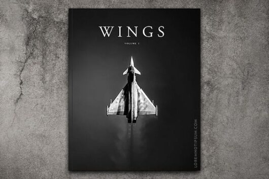 Wings Magazine Volume 1 – loremnotipsum.com