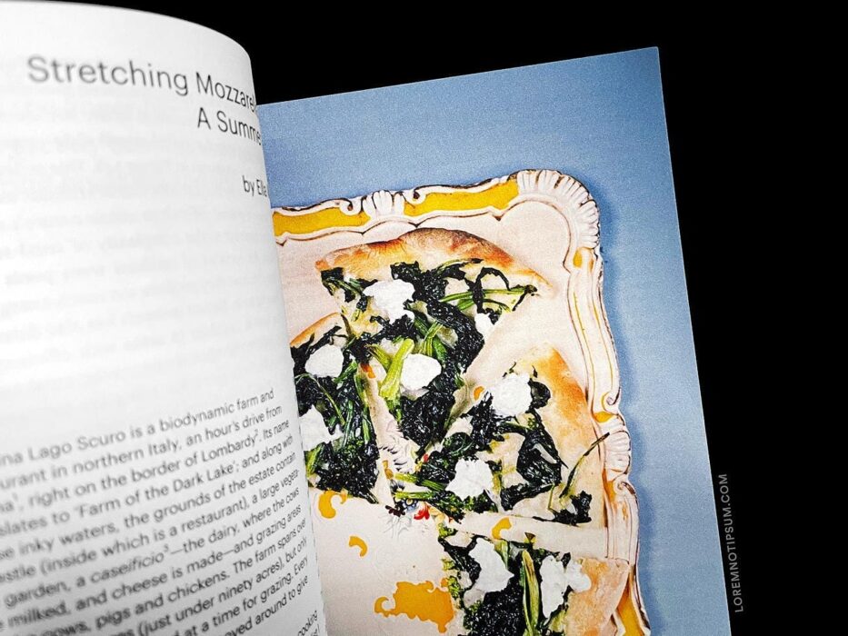 Lindsay Magazine Issue 5 – loremnotipsum.com
